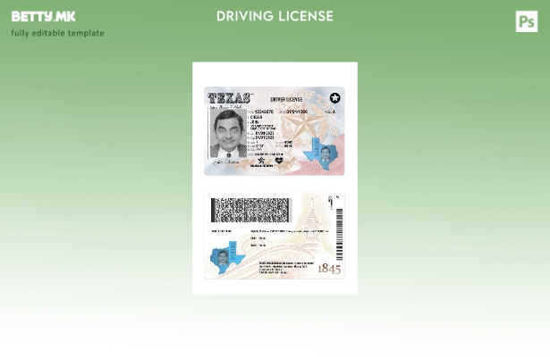 Модерен стил на САД Тексас возачка дозвола присутен шаблон